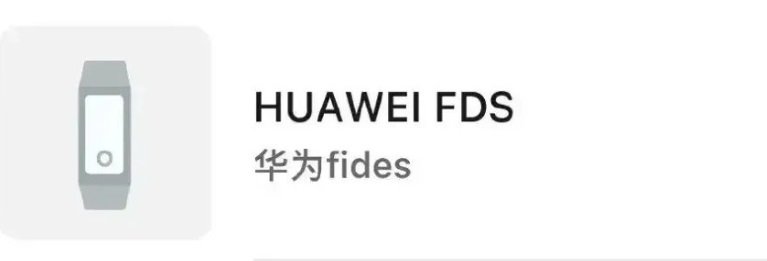 Huawei “Fides” Smartband