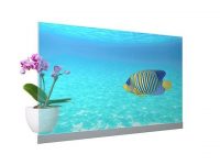 Panasonic launches its first transparent commercial OLED displays, 55 inch panels made by LG