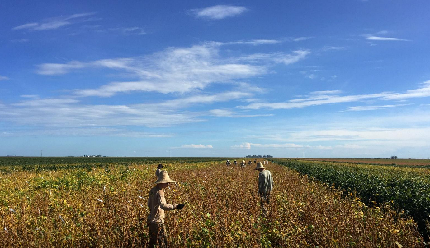 Huawei 5G equipment helps Soy farmers battle crop diseases in Brazil
