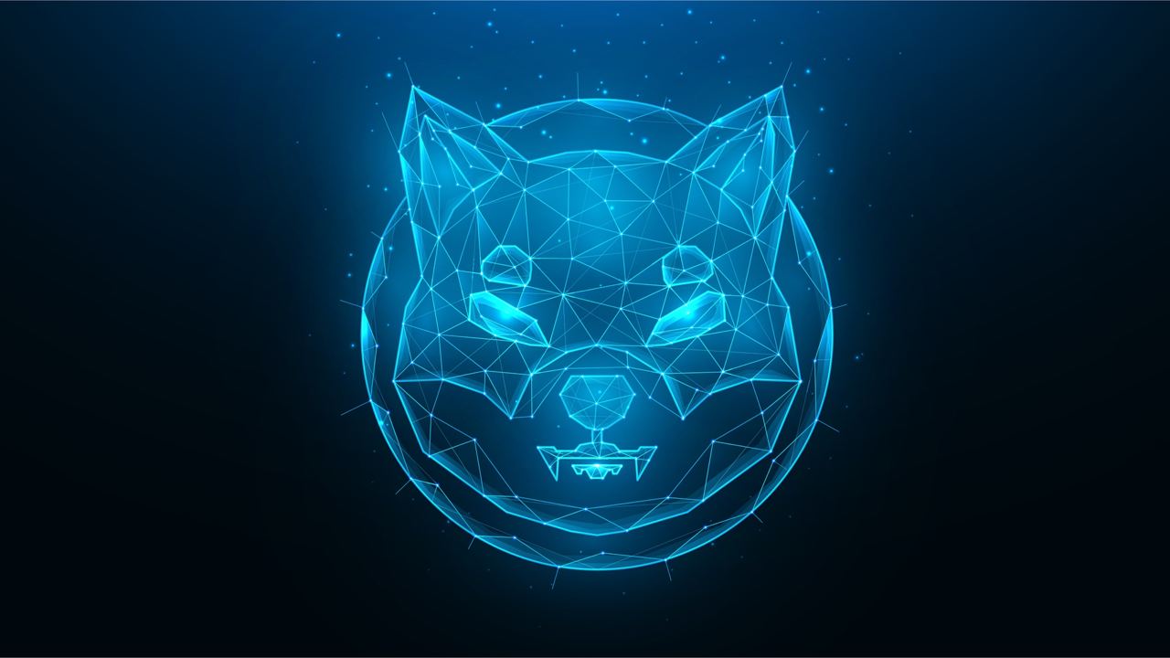 Shiba Inu Project Reveals 'Doggy DAO,' Devs Say Phase 1 to Provide 'Immediate Power to the SHIB Army'