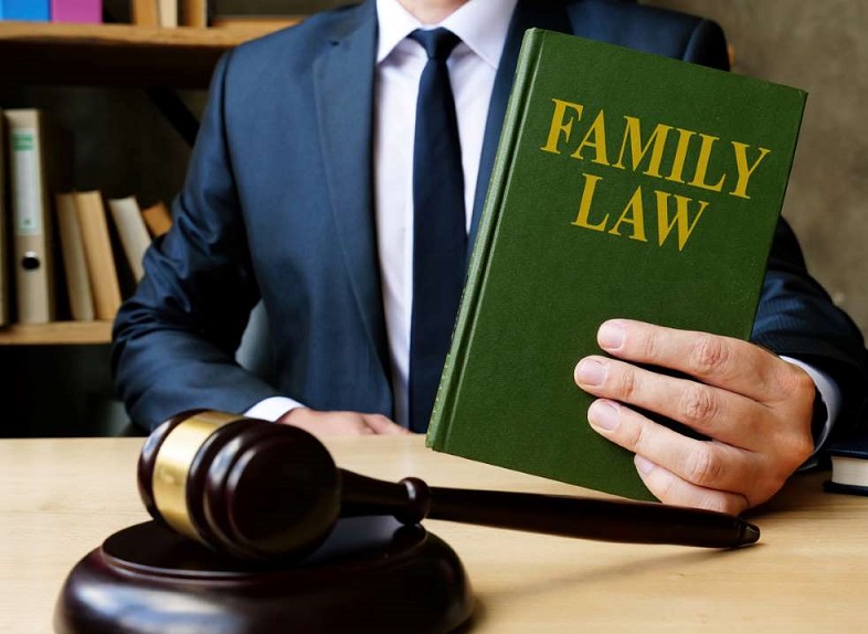 Experienced Family Law Lawyer